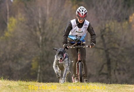 Tri studne - podzim 07 - 447.jpg